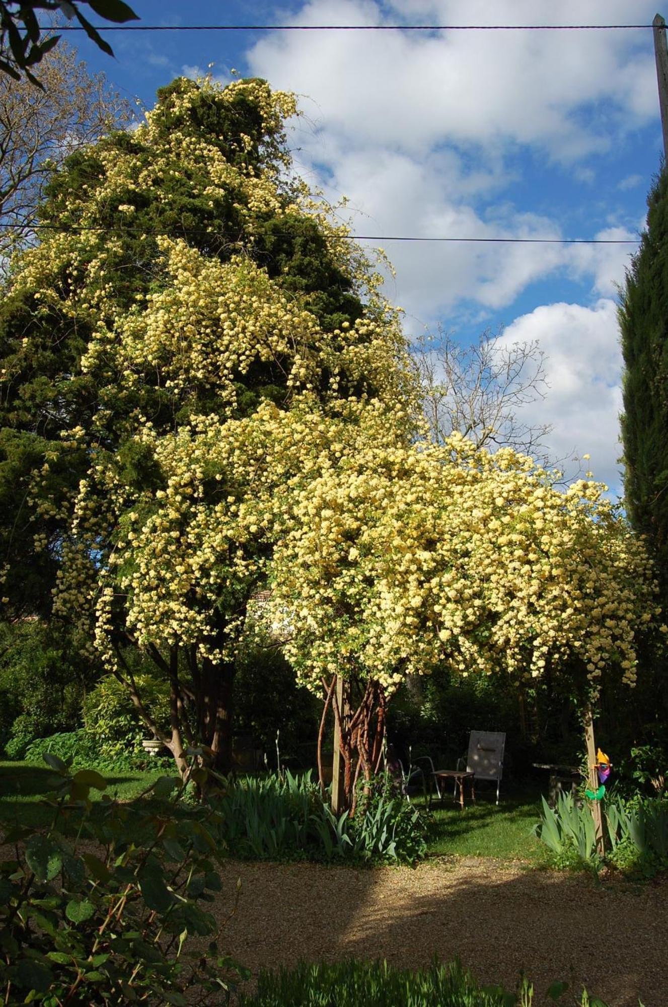 Le Mas Des Clots Bed and Breakfast Upie Esterno foto